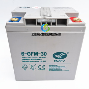 中力大金剛蓄電池6GFM30AH電瓶EPT20-ET托盤搬運車蓄電池