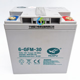 6GFM30AH蓄電池EPT20ET中力叉車托盤搬運車電瓶